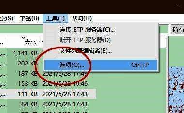 Everything软件主界面展示,左侧为目录结构,右侧为文件列表