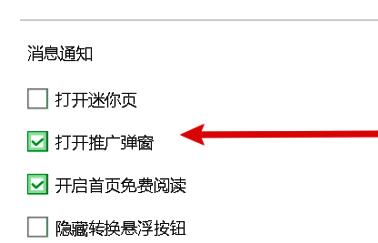 最终设置确认界面，展示所有选项调整完成后的效果