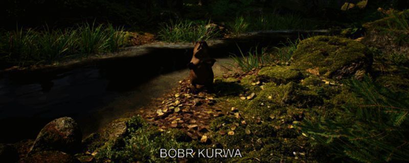 游戏画面展示玩家在森林中采集蘑菇的场景,环境清新自然