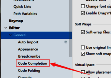 code completion设置页面,显示多项可勾选选项,show parameter name hints on completion被标记为关键设置