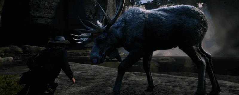 游戏界面中显示的高性能画质设置界面,展现极致视觉效果