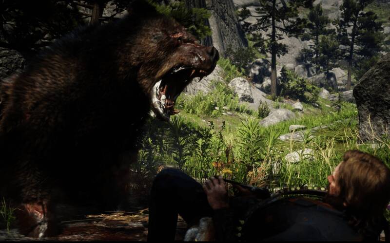 传说灰熊巴拉蒂正面特写,脸上带有明显疤痕,眼神凶狠