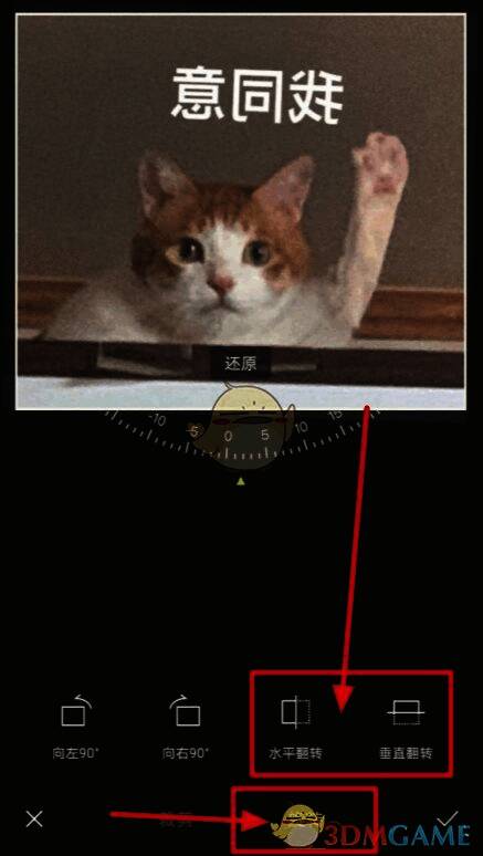 旋转功能界面展示水平翻转与垂直翻转选项按钮