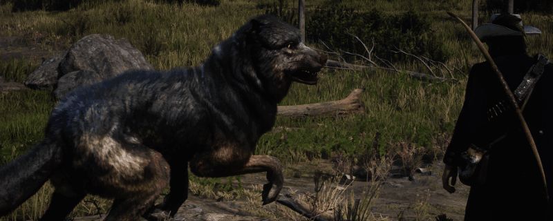 《荒野大镖客2》中传说动物栖息地实景,森林深处一只神秘生物静静潜伏