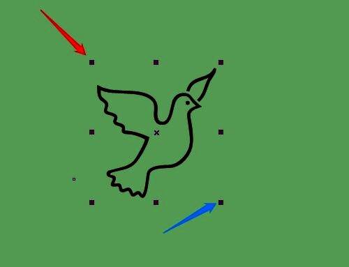 图形编辑状态,鸽子图形四周出现可拖动的控制点