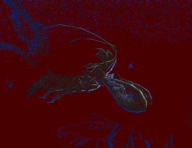 玩家捕捉海洋怪物动画,使用道具将其收服