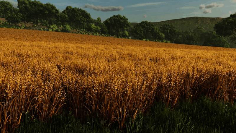 东亚地区新增稻田景观,呈现丰富的植被生态