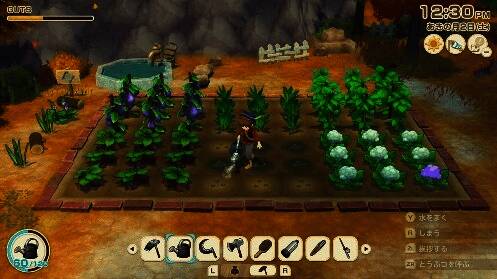 四季变换场景对比图,季节影响农作物生长周期