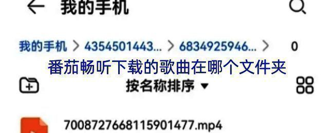 番茄畅听iOS端音乐库界面展示