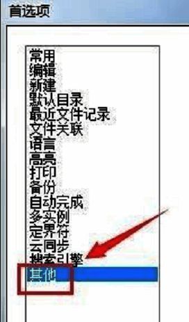 Notepad++首选项窗口中的其他标签页位置