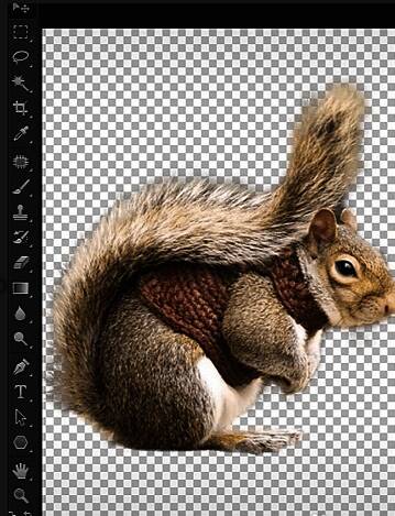 最终抠取完成的动物毛发效果图