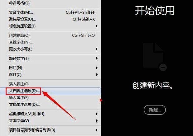 InDesign脚注选项窗口展示,版面标签被选中