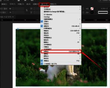 InDesign效果面板展开状态,清晰显示各项参数选项