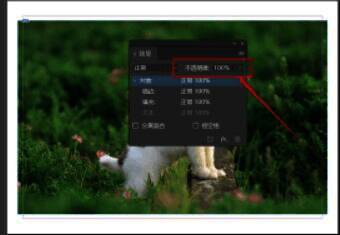 效果面板中不透明度设置界面,滑块已调整至40%