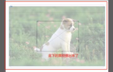 图片经过透明度调整后,呈现半透明视觉效果