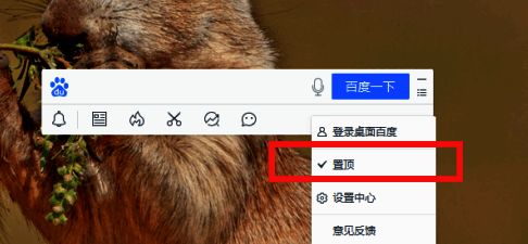 桌面百度置顶选项勾选状态展示,界面显示已成功置顶