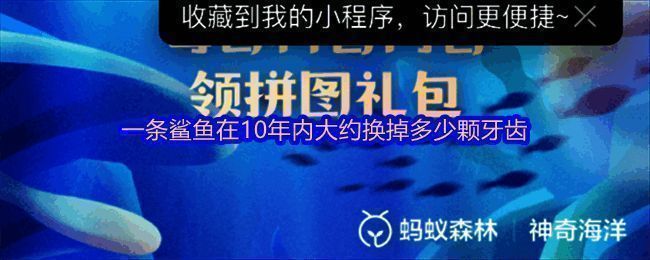 支付宝神奇海洋活动界面截图，展示每日答题内容