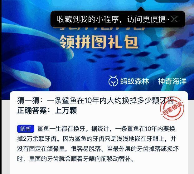鲨鱼牙齿结构示意图,展示牙齿排列与替换机制