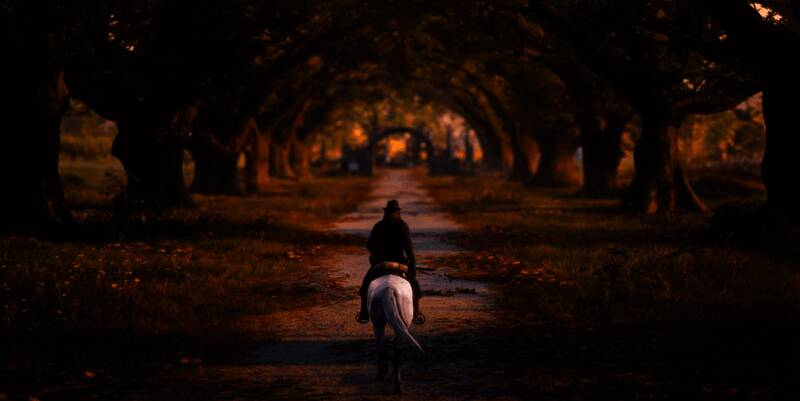 《荒野大镖客2》游戏场景展示西部牛仔骑马穿越旷野，远处是落日余晖下的山脉轮廓