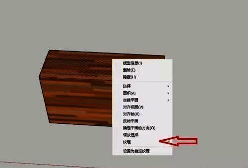 纹理设置界面,包含“上一步”、“下一步”按钮以及当前纹理预览窗口