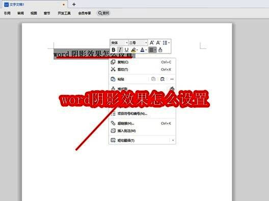 Word字体设置窗口界面截图，展示字体选择与效果设置区域