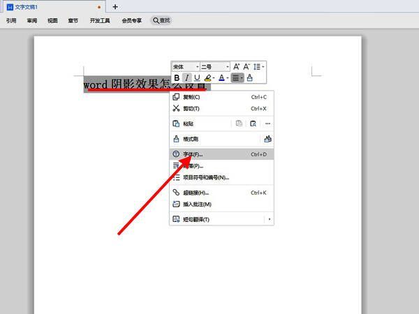 Word字体文本效果选项下拉菜单截图，展示多种效果选择