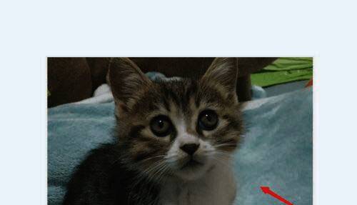 截图工具界面,展示如何进行截图操作