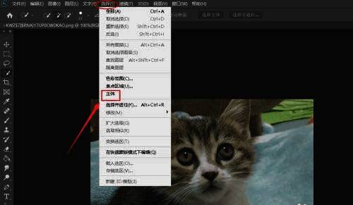 Photoshop操作界面,展示选择主体功能的使用方法