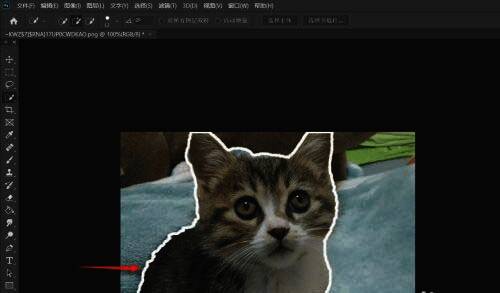 添加白色描边效果图,展示描边处理后的效果