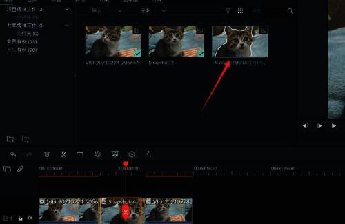 Filmora导入图片界面,展示导入图片的操作步骤