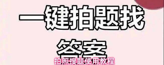 拍照搜题软件首页界面展示,界面清晰,功能分类明确
