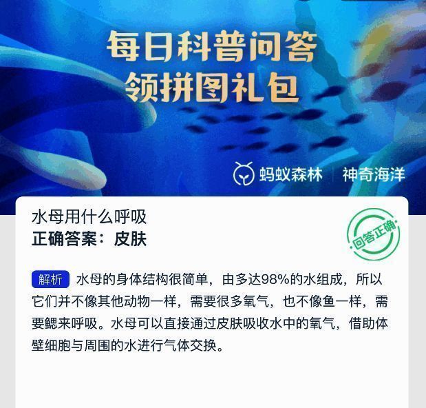 蚂蚁森林神奇海洋答题界面截图,显示水母相关问题与选项
