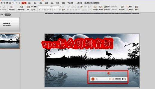 WPS演示界面展示音频插入操作界面截图