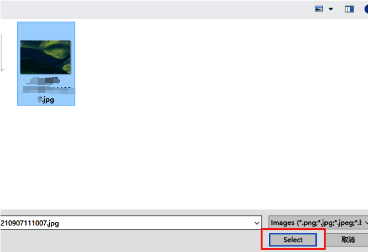 文件选择窗口展示,一张图片被选中,准备插入文档