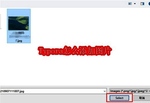 Typora编辑界面展示,文档中成功插入一张图片,排版整洁美观