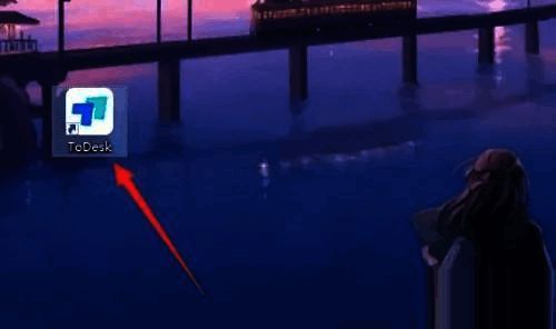 ToDesk高级设置界面展示