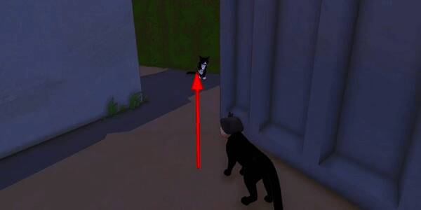 两只小猫在巷子拐角相遇,一只坐着另一只蹲下准备对话,光影柔和