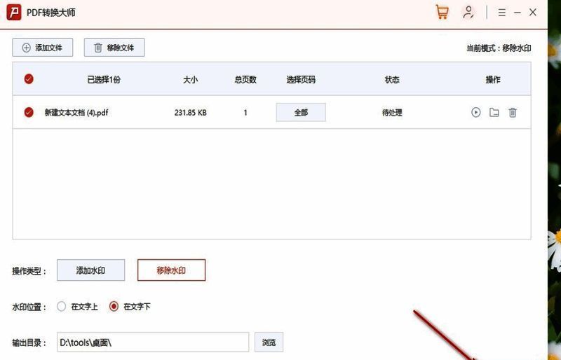 进度条显示转换完成状态，界面提示“任务成功”