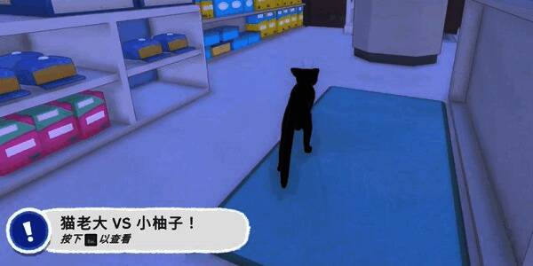 小柚子蹲在马路边缘,尾巴翘起,显得警觉又顽皮