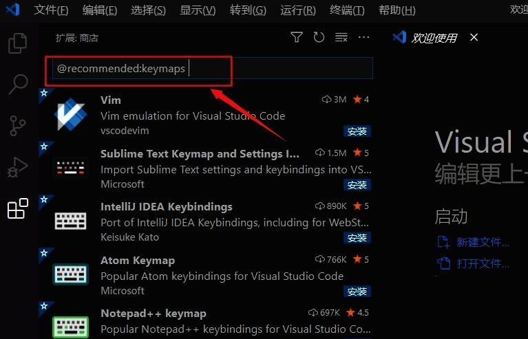 VSCode扩展搜索栏中输入@recommended:keymaps,下方展示多个IDE风格的快捷键映射插件