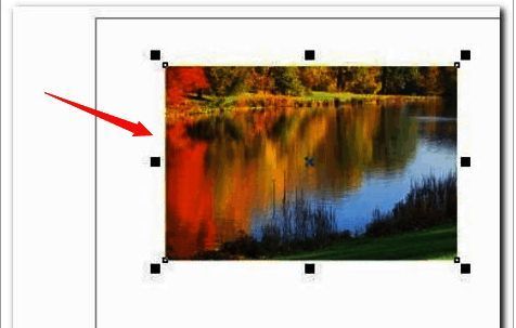 CorelDRAW中已成功导入一张风景图片,图片位于画布中央,周围有选择框