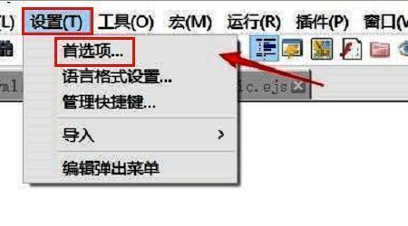 Notepad++ 菜单栏展示设置与首选项入口，界面清晰标注操作路径