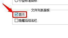 文件列表面板设置项被高亮显示,勾选框已打勾,明确指示开启状态