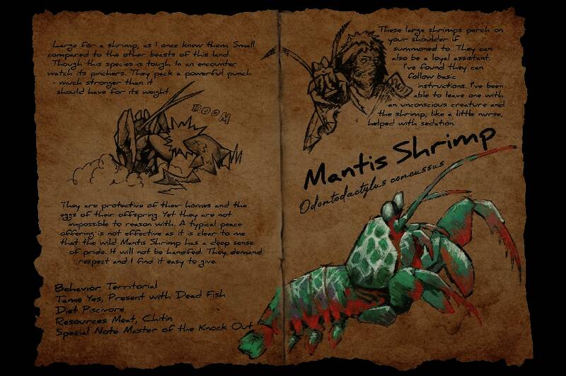 螳螂虾立于岩石巢穴前,双钳高举发出警告姿态,背景中有破碎的敌对生物残骸,彰显其领地意识