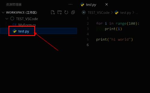 资源管理器中选中一个名为example.py的Python文件,文件内容正在右侧窗口显示