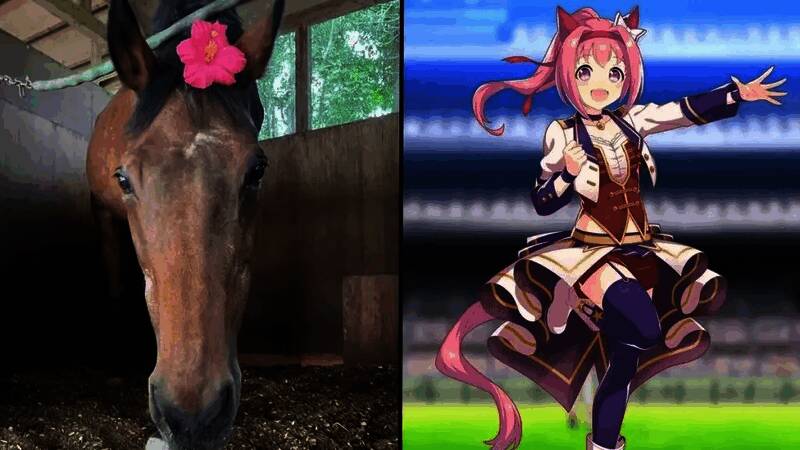 手绘风格插画展示春乌拉拉站在终点线前,身后是挥舞应援棒的虚拟观众