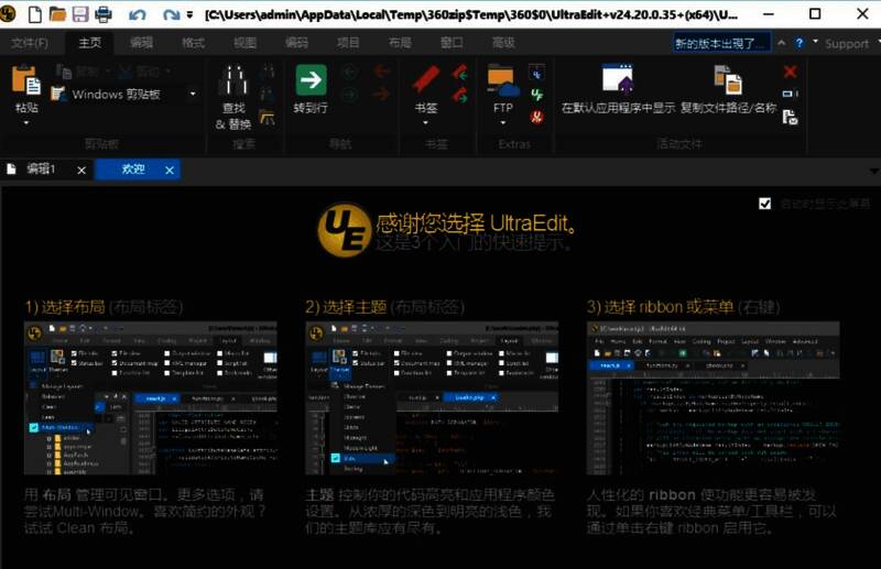 Ultra Edit初始设置界面,展示布局、主题和界面模式选择选项
