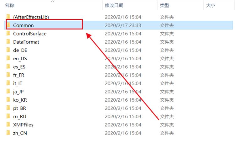 文件夹层级结构清晰展示,Common目录被选中,准备放入插件文件