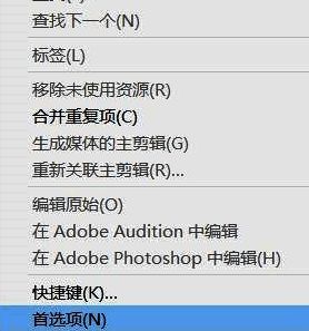 首选项窗口中外观设置选项被高亮显示,左侧为设置分类列表,右侧为亮度调节滑块