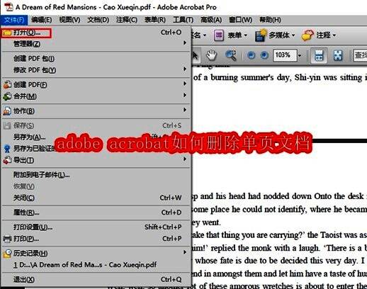 Adobe Acrobat主界面展示,界面清晰显示菜单栏与文档预览区域